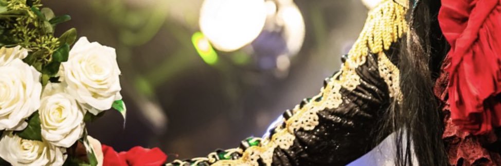yuupiya's profile banner image