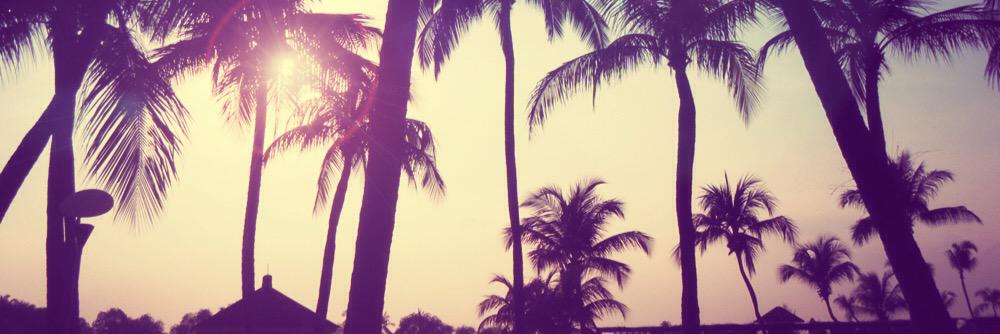 evalyn_myers's profile banner image