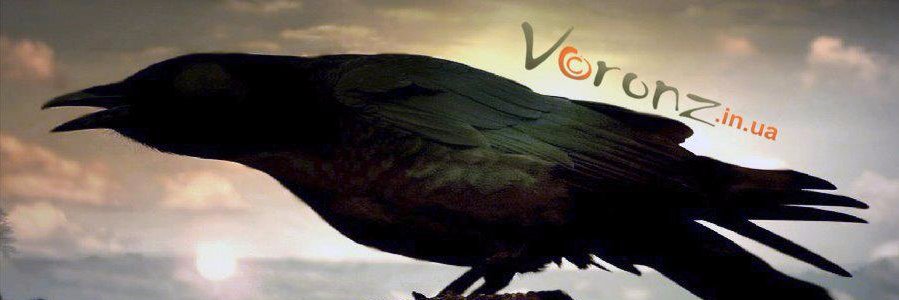 voronz's profile banner image