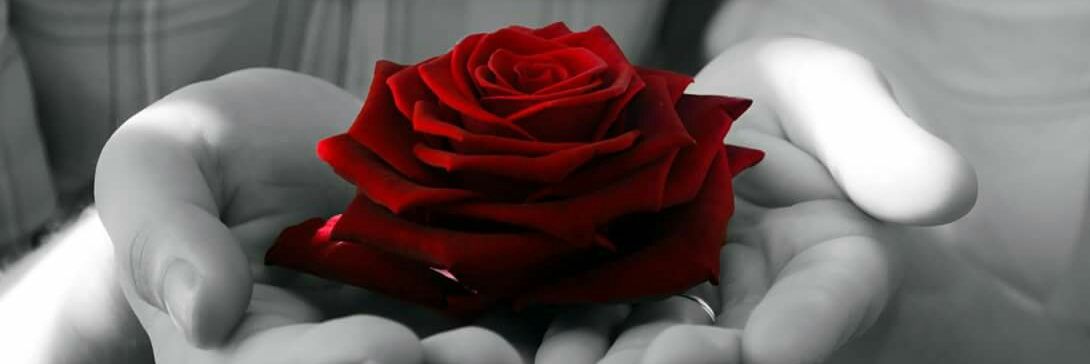 Ana SantiagoGonzalez banner