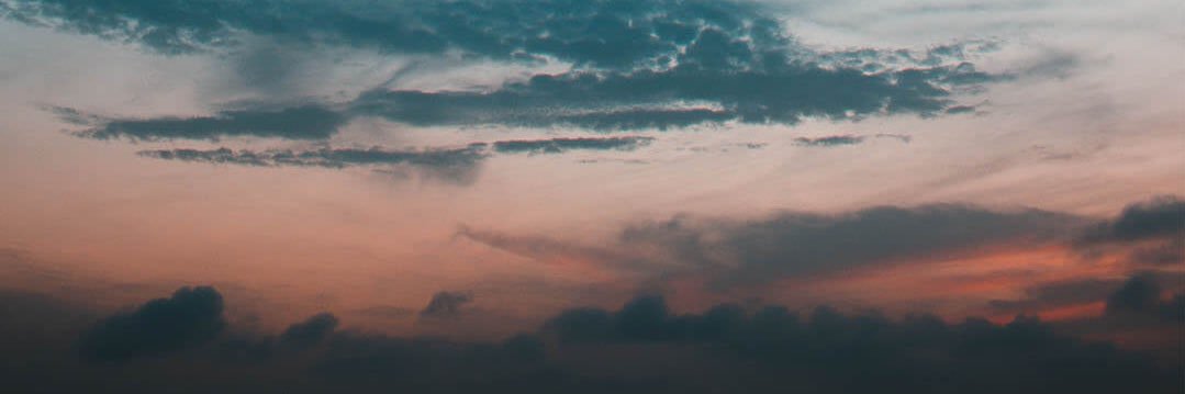 TheRealRose28's profile banner image