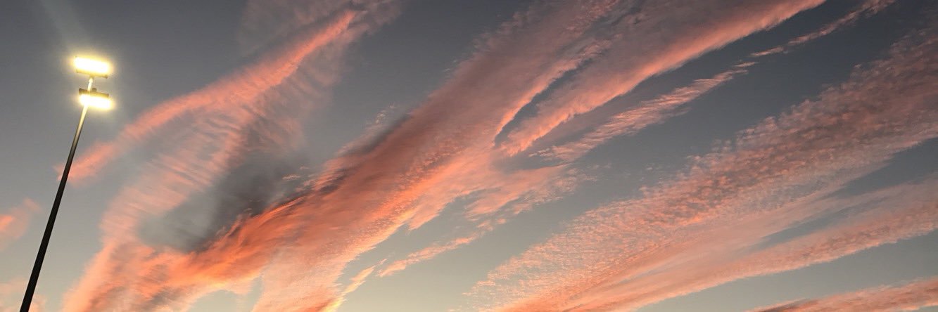 lazoxo's profile banner image
