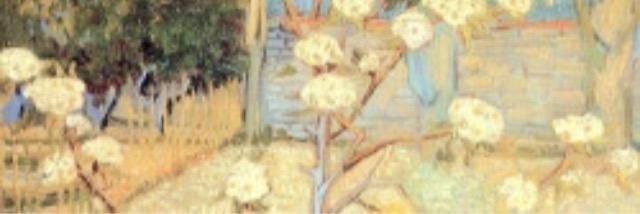 lariontimongdr's profile banner image