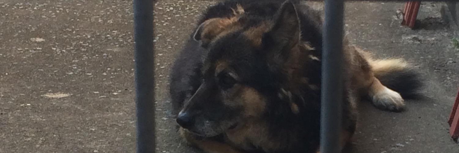 Changa5378's profile banner image