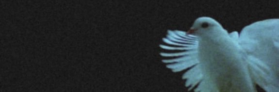 waxstickmx's profile banner image