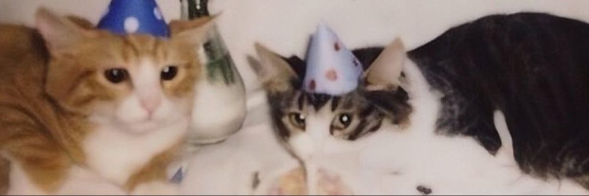 loverkatsu's profile banner image