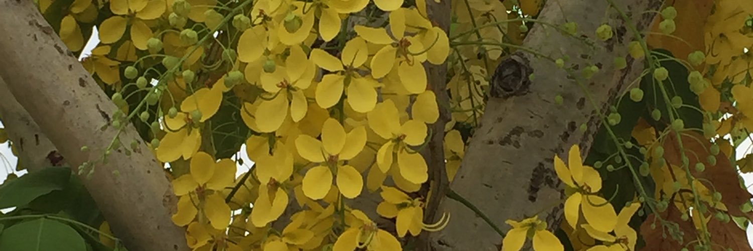 clau_melgar's profile banner image