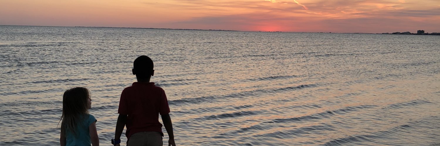 stephstehlin's profile banner image