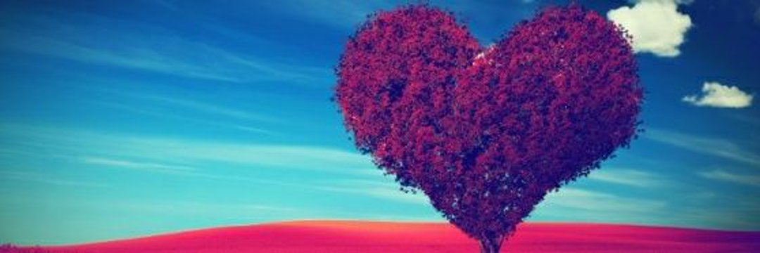 danielaislove's profile banner image