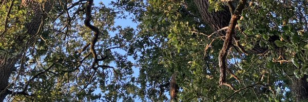 DanWoolcott Profile Banner