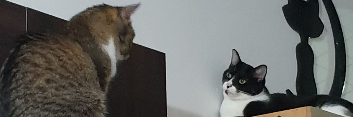 lugrama's profile banner image