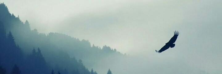 dlee_113's profile banner image