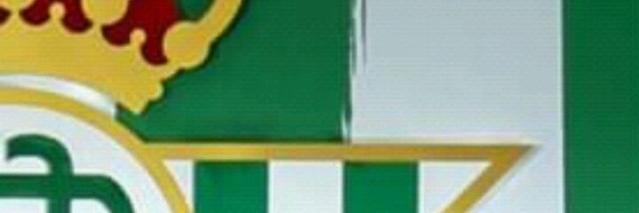 ramipedrote's profile banner image