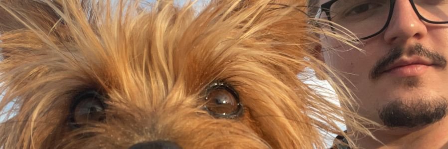 guidoticelo's profile banner image