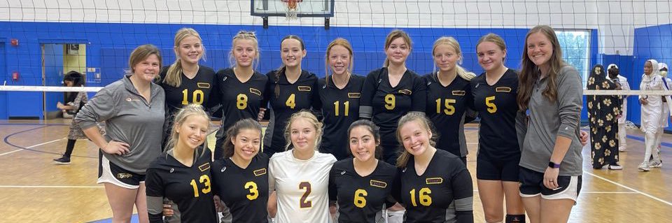 Alexandria Volleyball banner