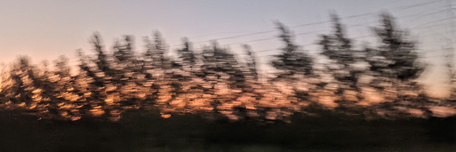 campanaa_'s profile banner image