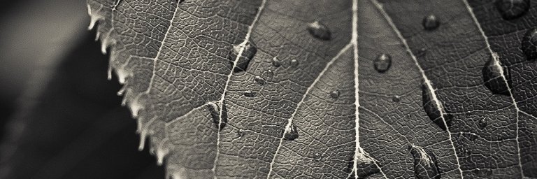 geanpp's profile banner image