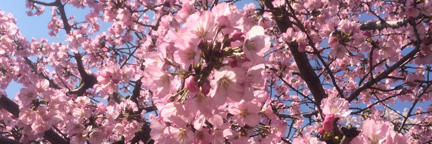 ktakif's profile banner image