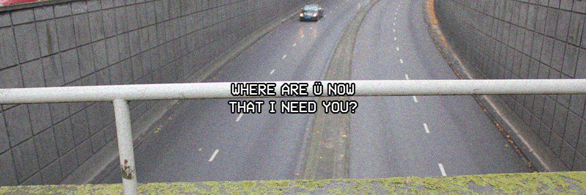 Trish Wilson banner