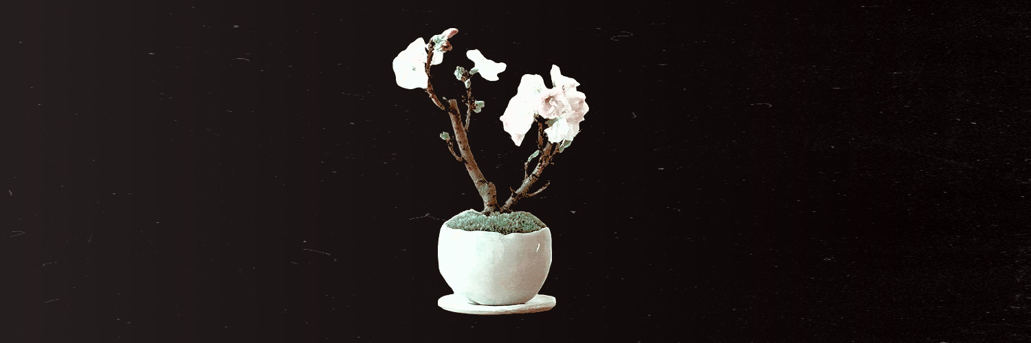 gentlenursed's profile banner image