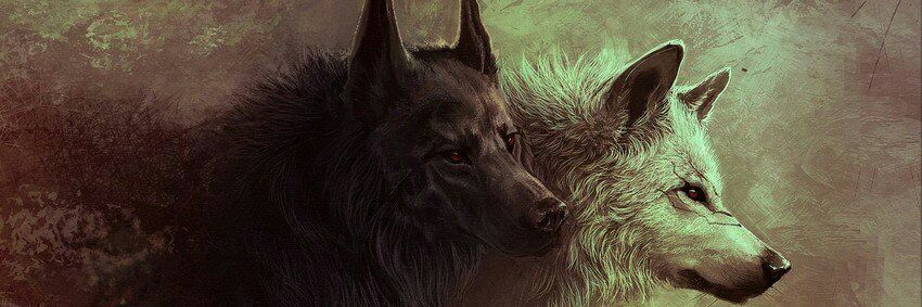 alexmorenonegr1's profile banner image