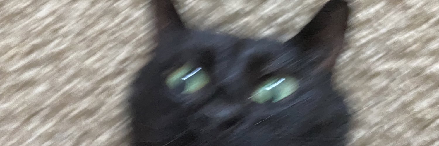 becs_brigs's profile banner image