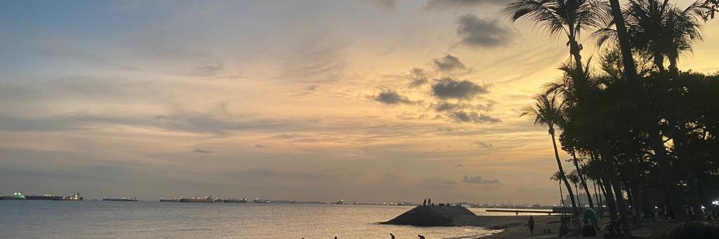smybaskar's profile banner image