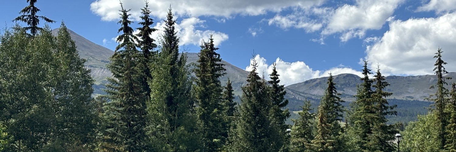 VickieDJ's profile banner image