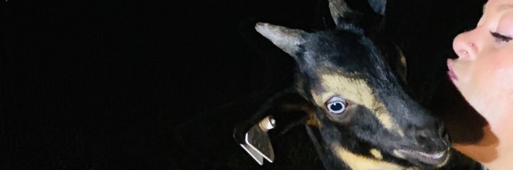 _bryannachase's profile banner image