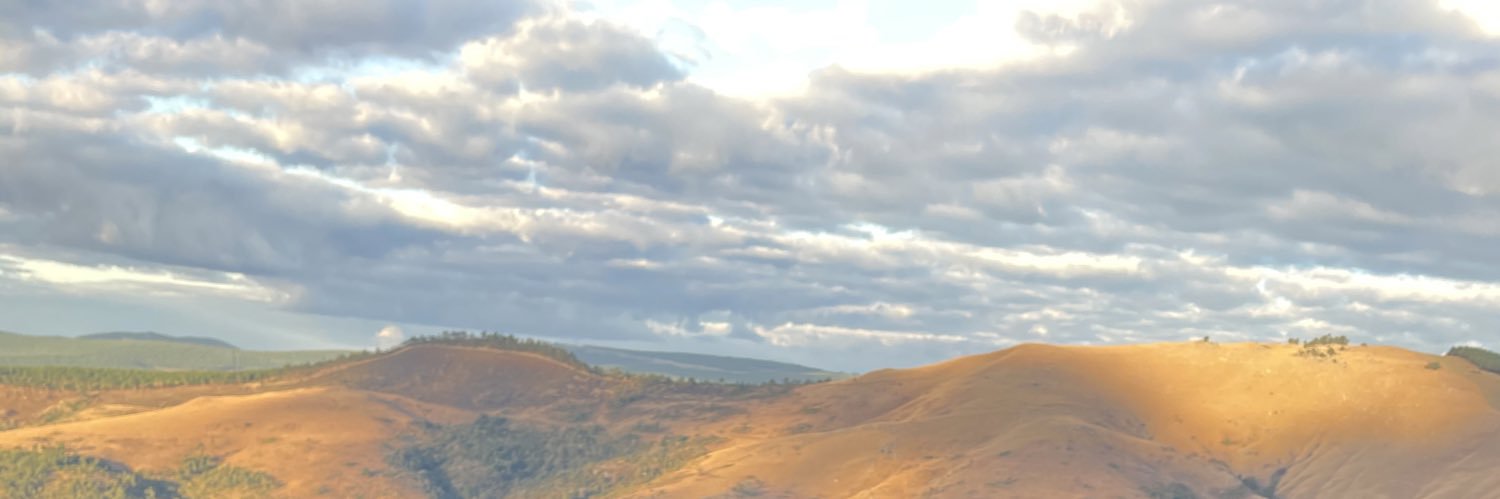 SimphiweFigo's profile banner image
