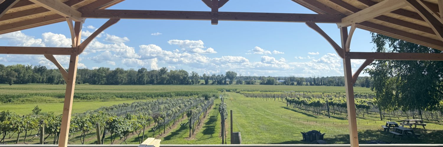 David Spaventa banner