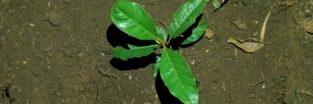 Deus é o Vigia🥷 banner