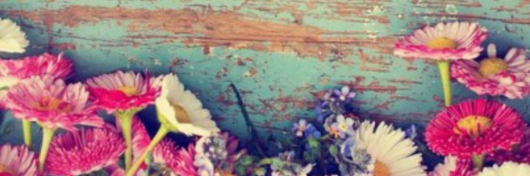 anitargz's profile banner image