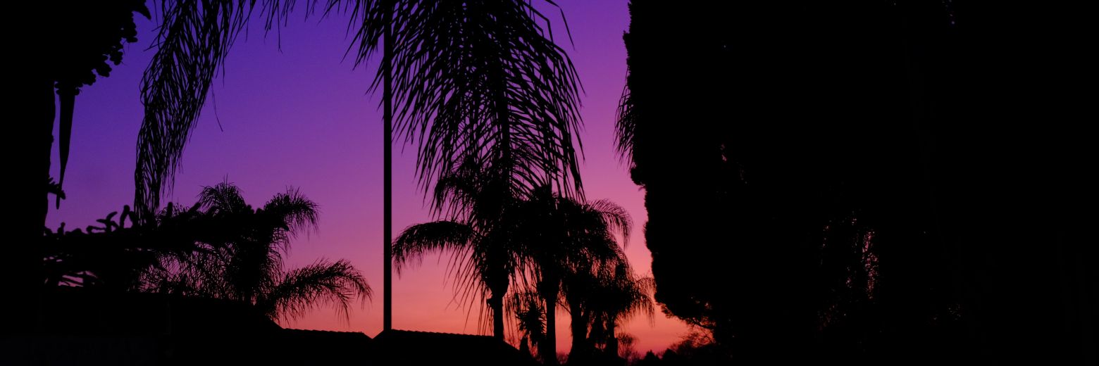_lindizzle's profile banner image