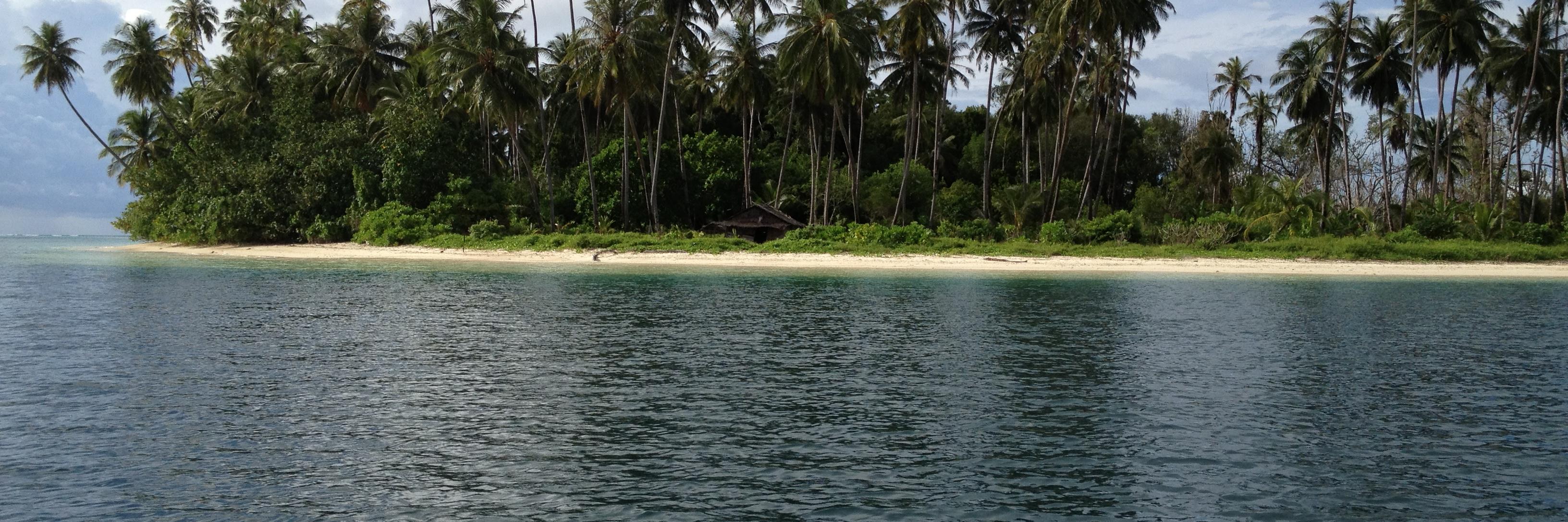 Adam Robertson banner