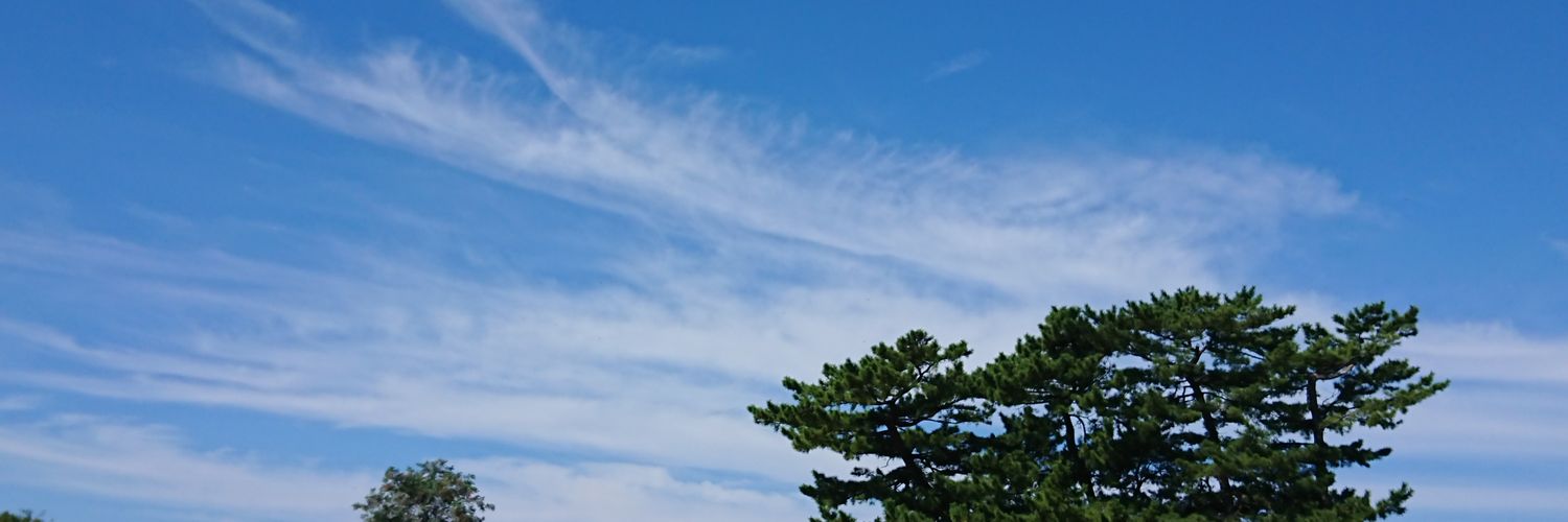 chamitotaku's profile banner image