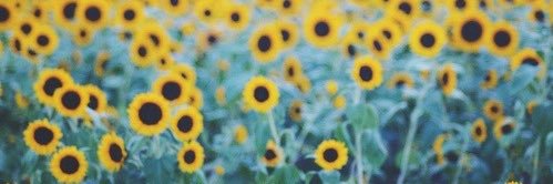 cybs32's profile banner image