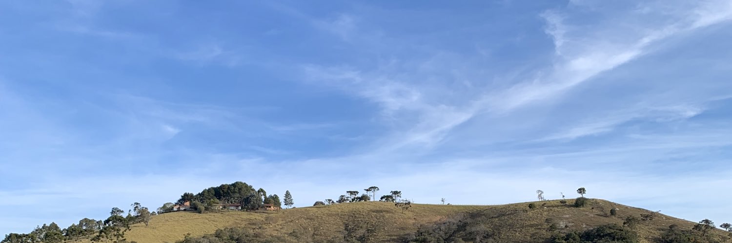 juliafiorottocr's profile banner image
