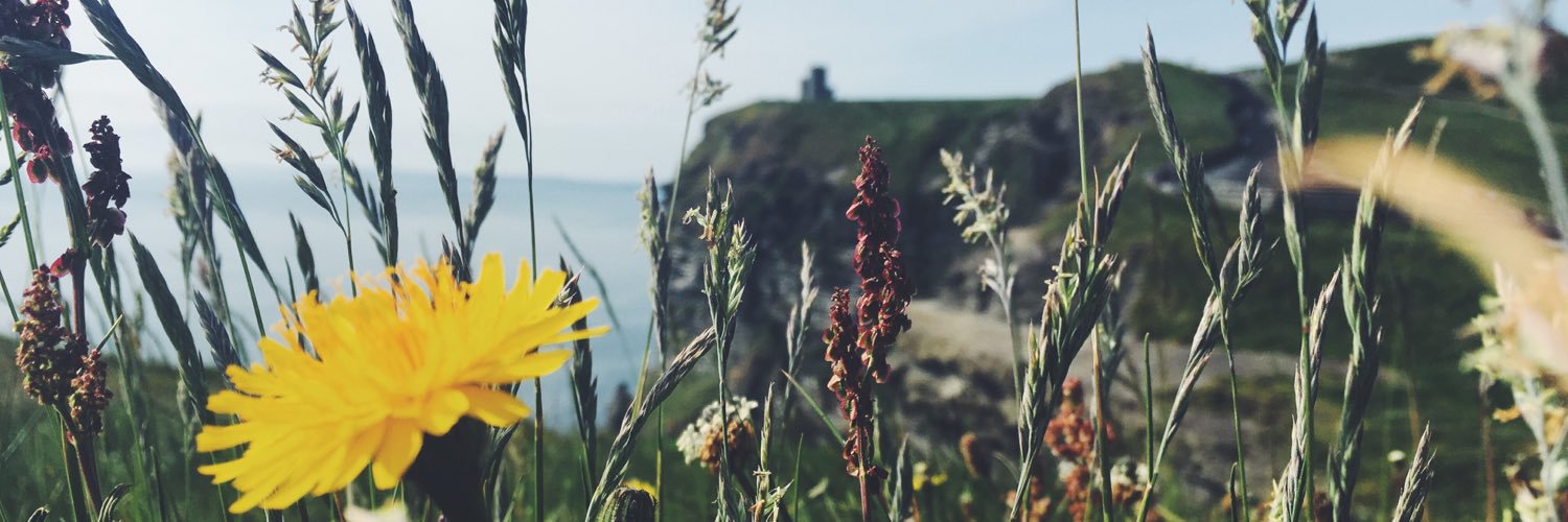logan_dawson's profile banner image