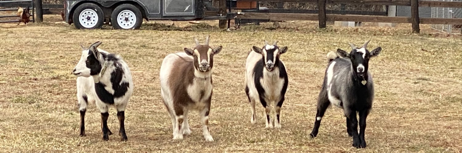 Chuck Espinoza banner