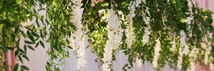 T E B O G O 🇿🇦 banner