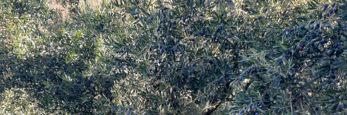 st_umit's profile banner image