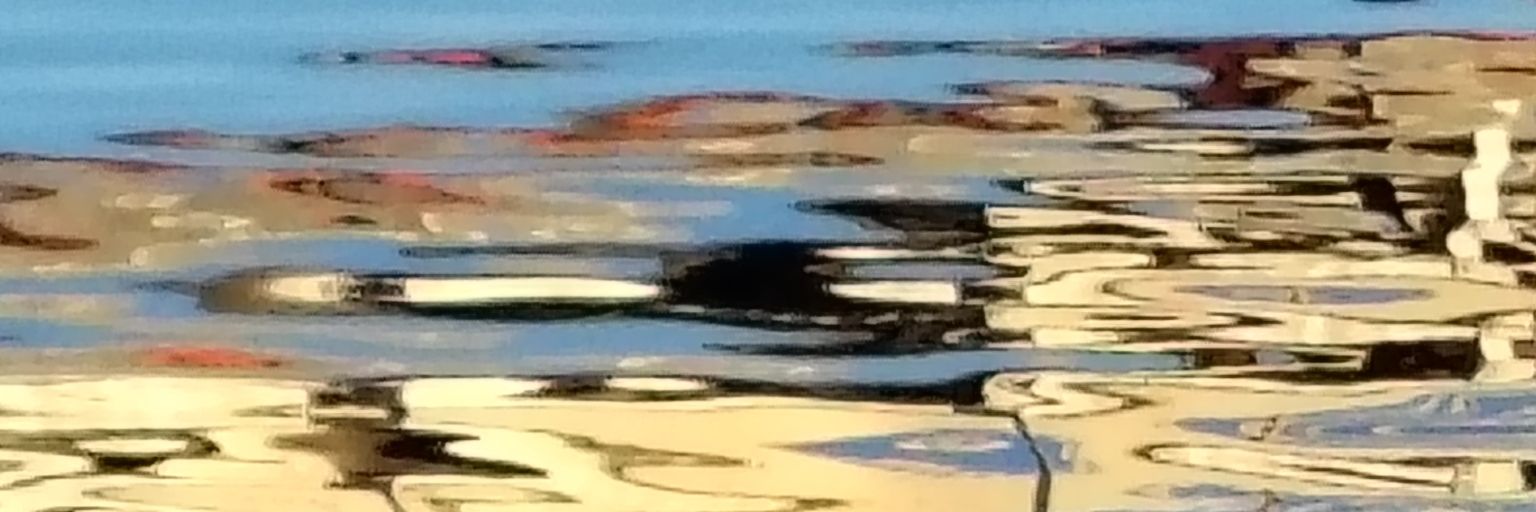 Miou banner