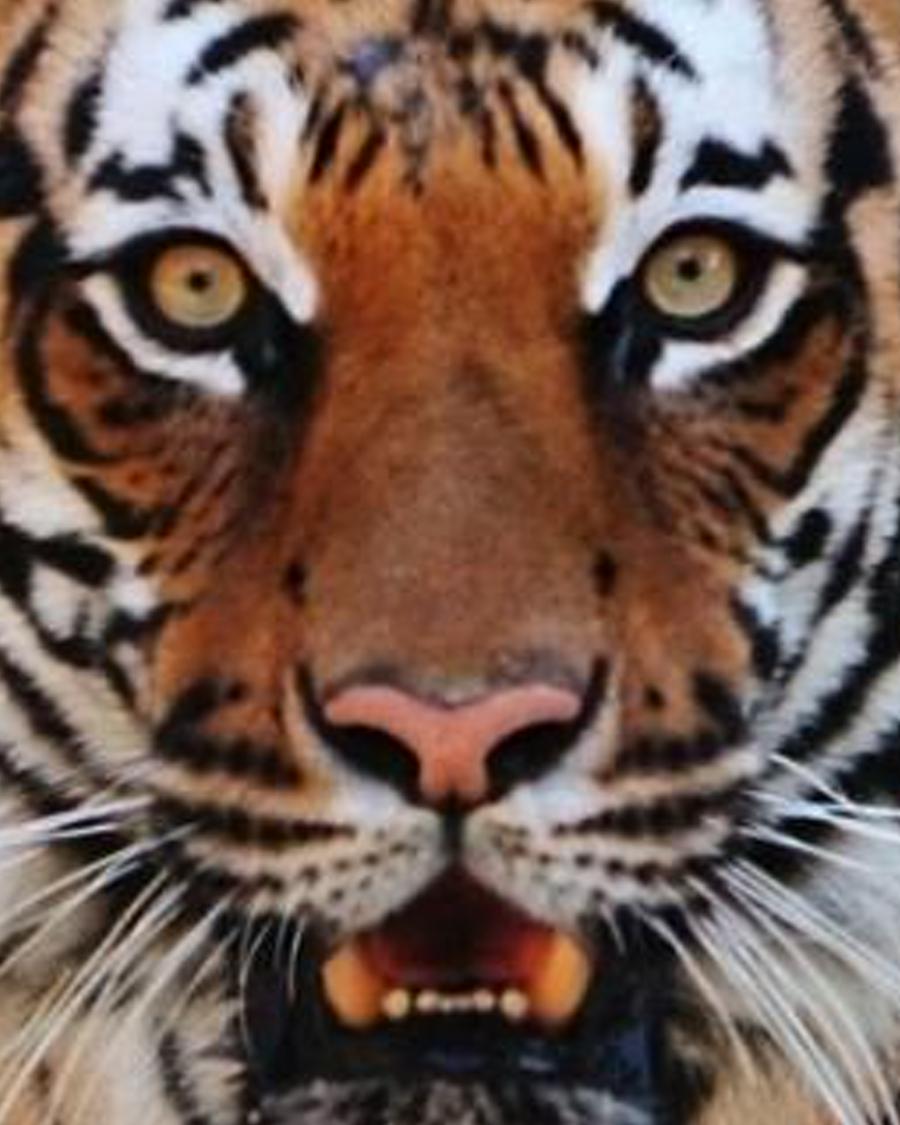 ereledome's profile banner image