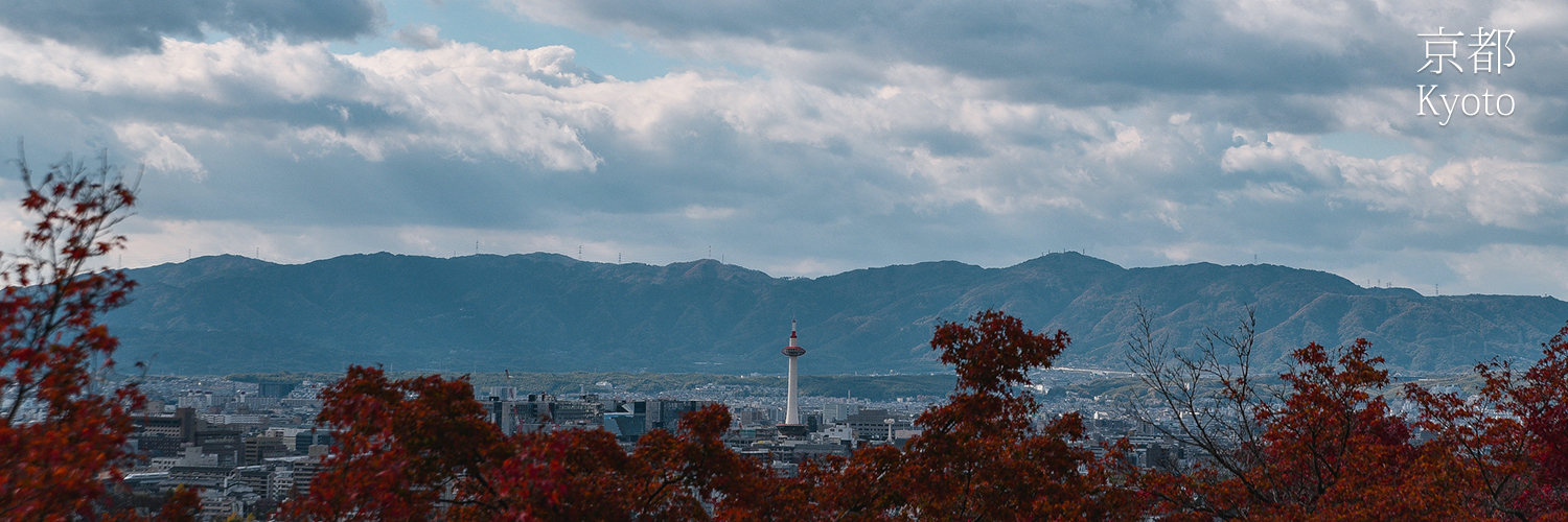 Ooi_YR's profile banner image