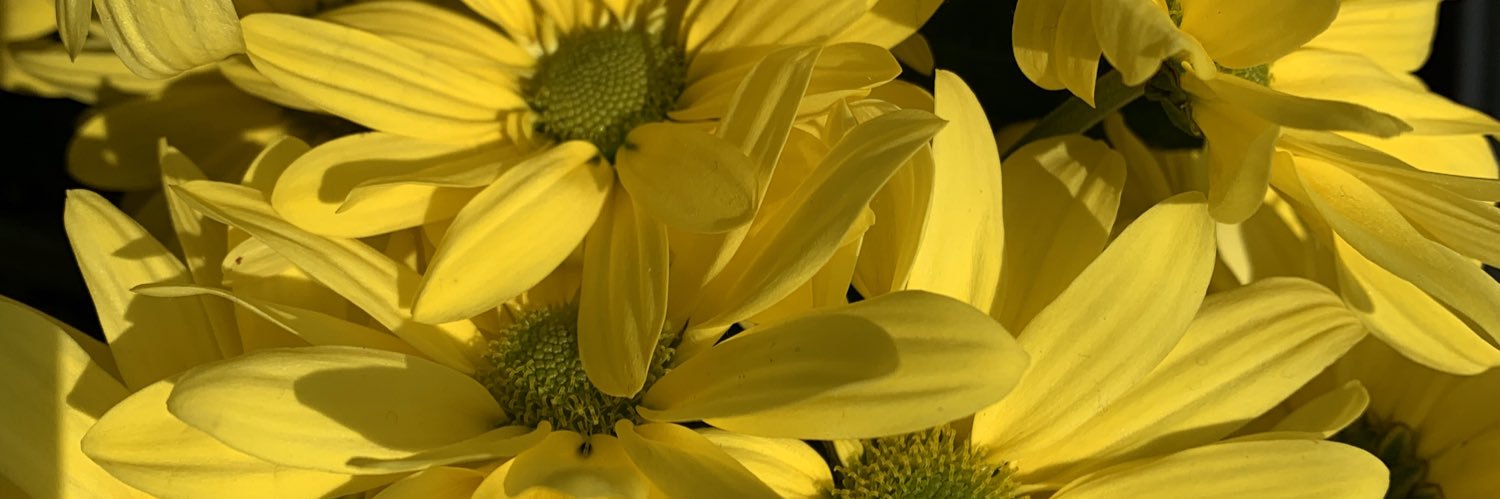 mttececile's profile banner image