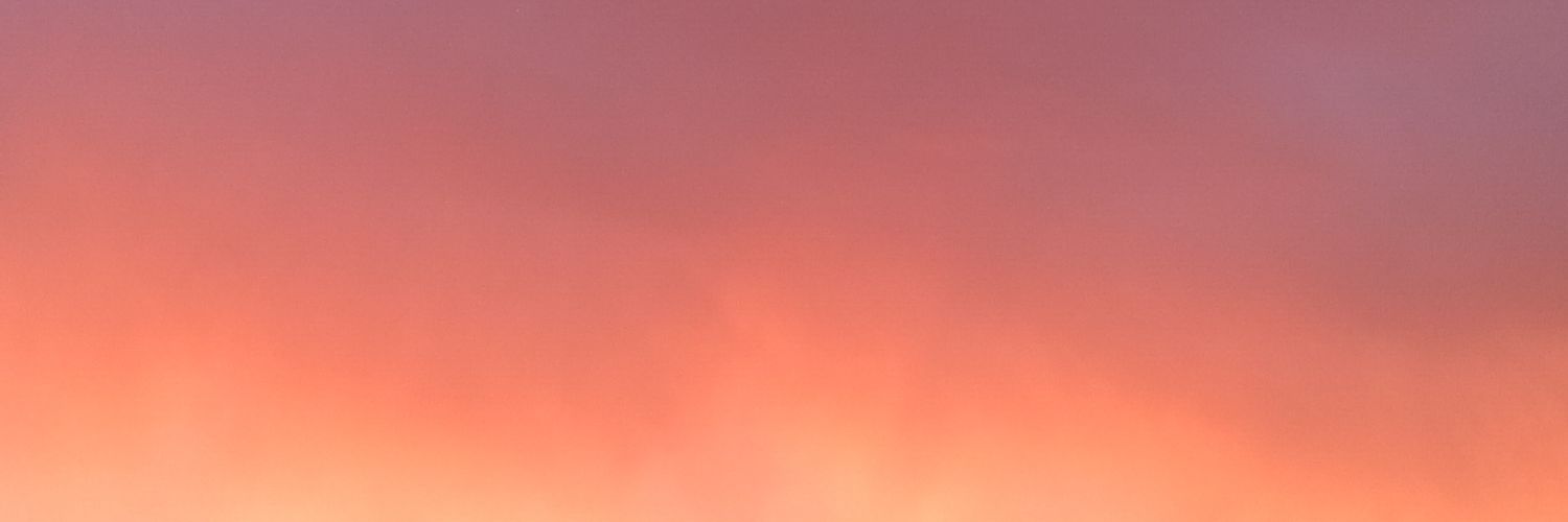 evxlin's profile banner image