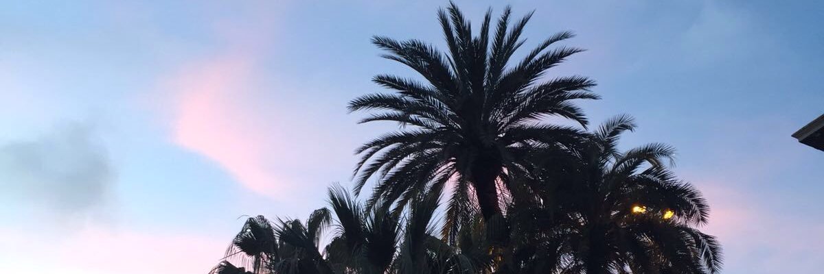 MsBambina's profile banner image