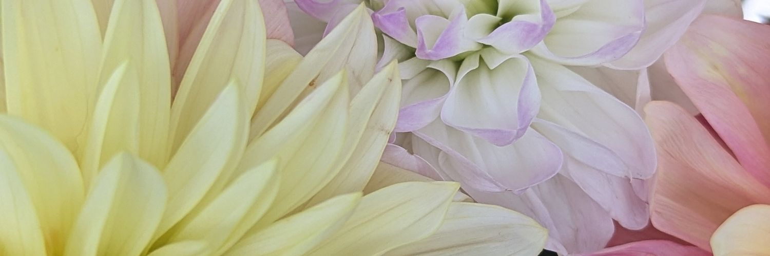 Croumble's profile banner image