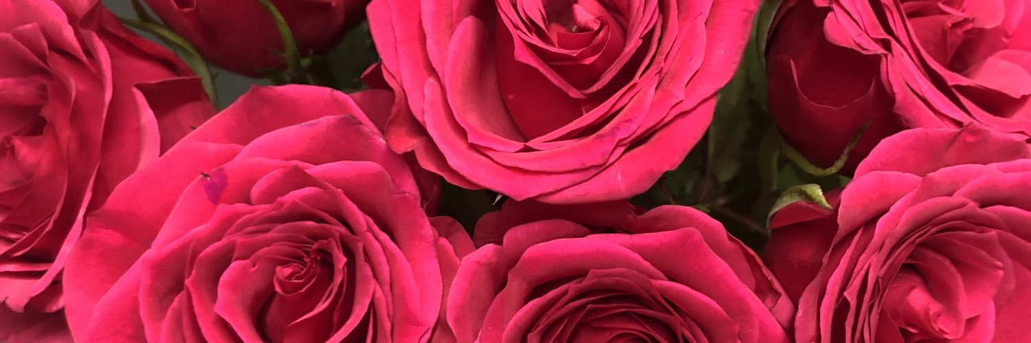 ChloeeB93's profile banner image